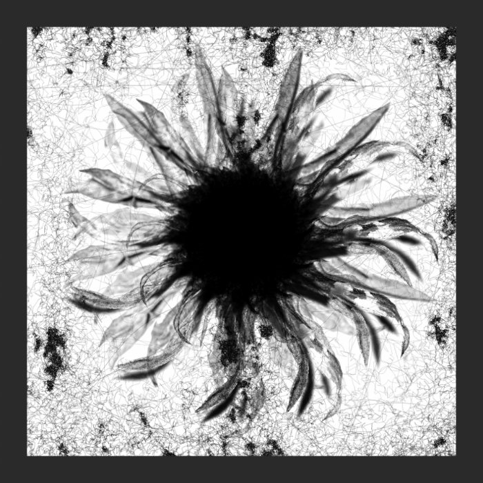 Honzo – Melancholia Ep